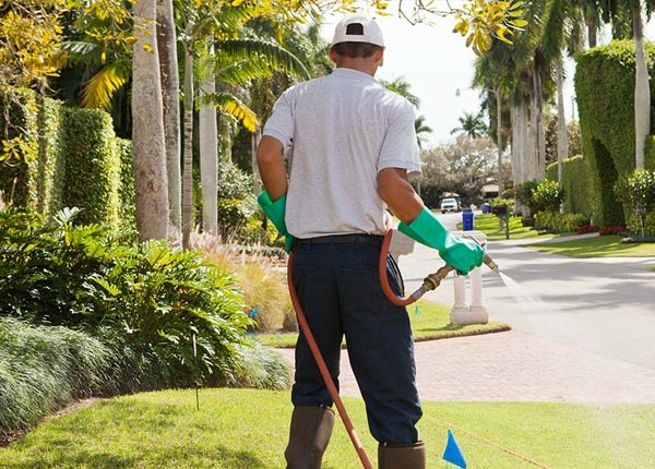 About Wofford Heights CA Pest Control